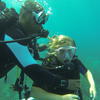 Picture taken during the dive