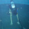 Picture taken during the dive