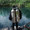 Picture taken during the dive