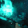 Picture taken during the dive