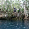 Picture taken during the dive