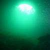 Picture taken during the dive