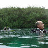 Picture taken during the dive