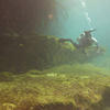 Picture taken during the dive