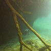 Picture taken during the dive