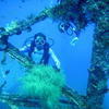 Picture taken during the dive