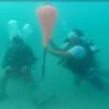Picture taken during the dive