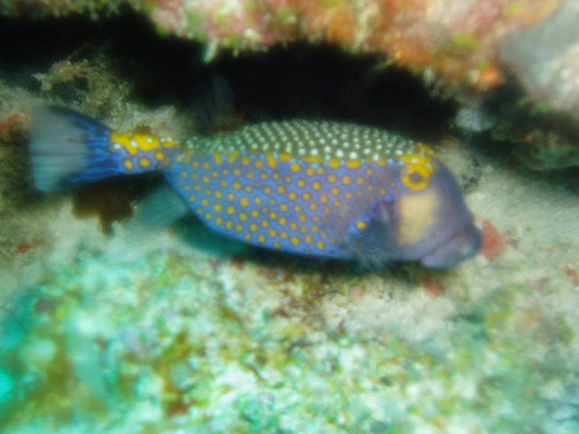 The Oberoi Lombok - Dive Center in Indonesia