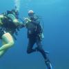Picture taken during the dive