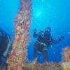 Picture taken during the dive
