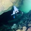 Picture taken during the dive