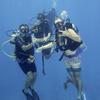 Picture taken during the dive