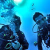 Picture taken during the dive
