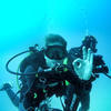 Picture taken during the dive