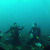 Picture taken during the dive