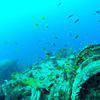 Picture taken during the dive