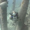 Picture taken during the dive