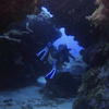 Picture taken during the dive