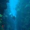 Picture taken during the dive