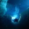 Picture taken during the dive
