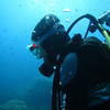 Picture taken during the dive