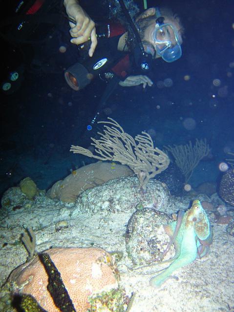 Cozumel Scuba Planet - Dive Center in Mexico