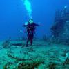 Picture taken during the dive