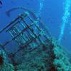 Picture taken during the dive