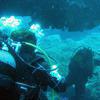 Picture taken during the dive