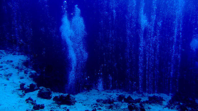 Deep Blue Divers - Dive Center in Egypt