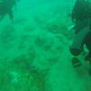 Picture taken during the dive