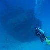 Picture taken during the dive