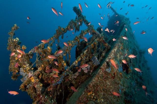 BLUE PLANET - Dive Center in Croatia