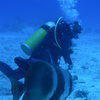 Picture taken during the dive