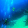 Picture taken during the dive