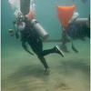 Picture taken during the dive