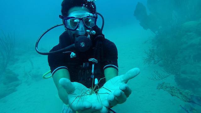 Aqua Center - Dive Center in Dominican Republic