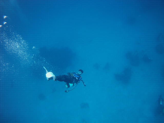 Grand Bahama Scuba - Dive Center in Bahamas