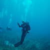 Picture taken during the dive