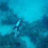 Picture taken during the dive