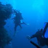 Picture taken during the dive