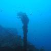 Picture taken during the dive