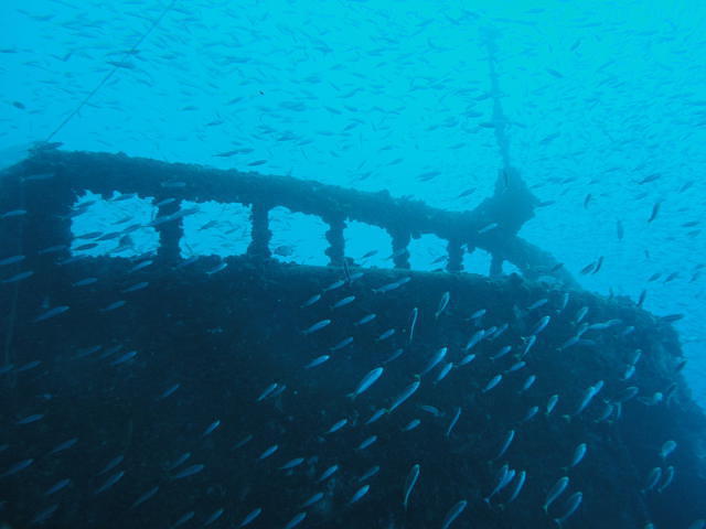 SUBNAUTA SA - Dive Center in Portugal