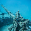 Picture taken during the dive