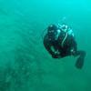 Picture taken during the dive