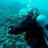 Picture taken during the dive