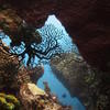 Picture taken during the dive