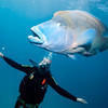 Picture taken during the dive