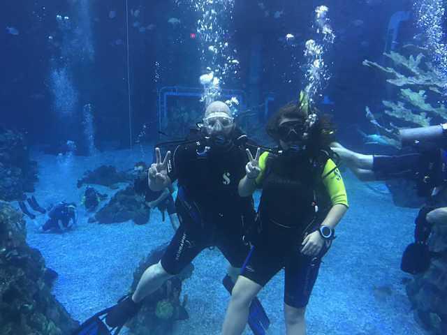 The Living Seas, Epcot Center Dive Dept - Dive Center in United States