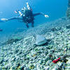 Picture taken during the dive